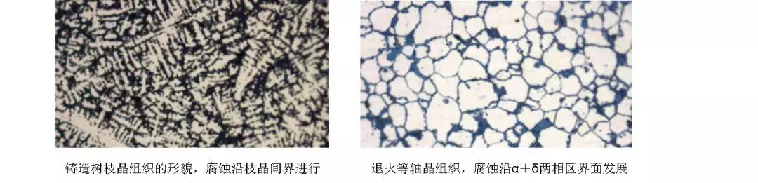 金相顯微鏡在文物保護中的應(yīng)用