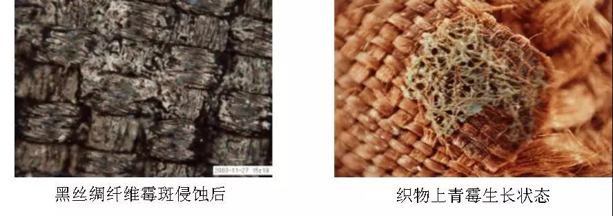 光學(xué)數(shù)碼顯微鏡在文物保護中的應(yīng)用